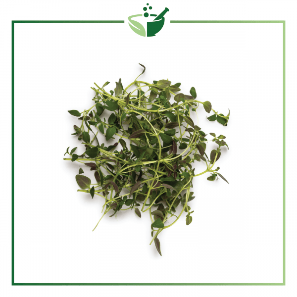 Thyme Essential Oil-01